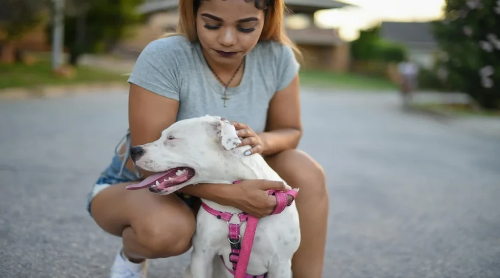 pet facts emotional bond between pets and owners
