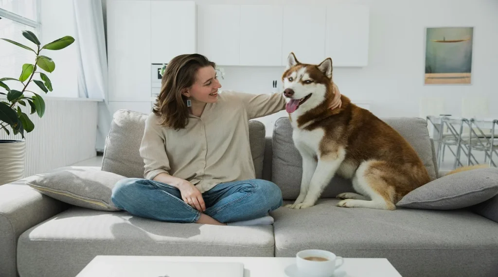 pet behavior relaxed and happy signals