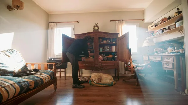 Common Household Dangers for Pets and How to Prevent Them