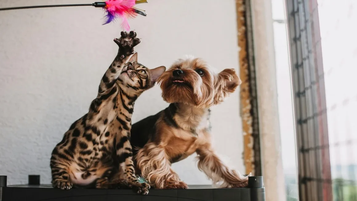 animal facts about pets behavior and instincts