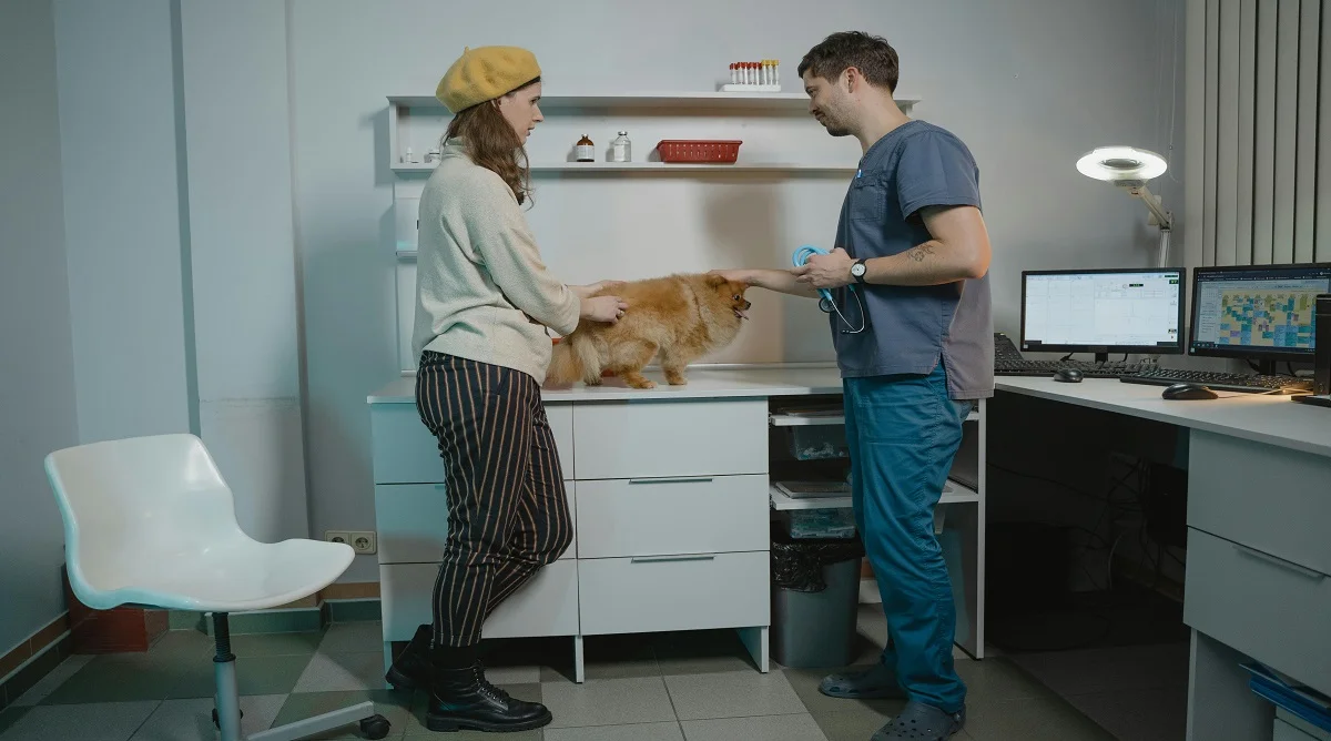 Common Pet Health Signs Owners Should Never Ignore Early