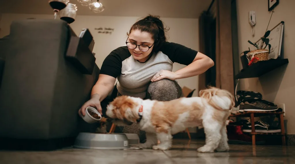 safe foods for pets healthy feeding options