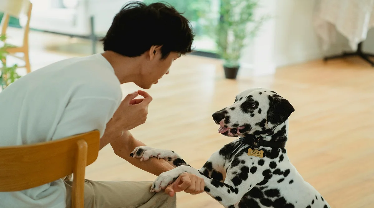 Understanding Pet Behavior and What Common Actions Really Mean