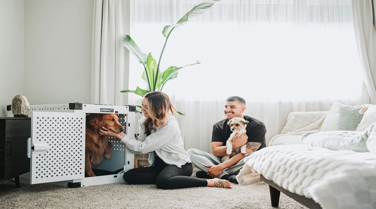 Pet Safety Tips Every Owner Should Follow at Home and Outdoors