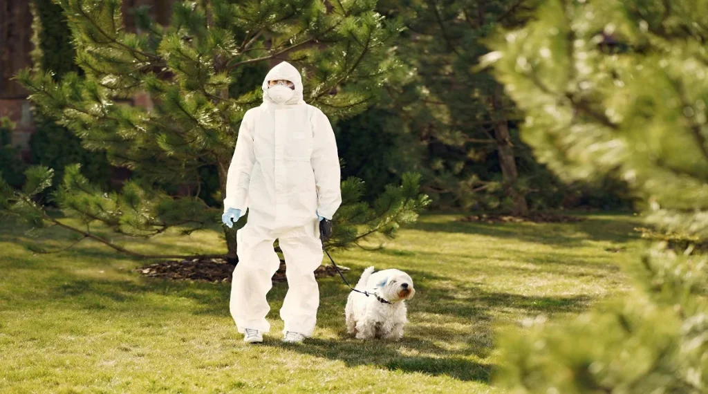 pet safety tips outdoor protection supervision