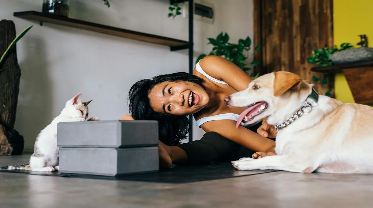 Daily Pet Care Routine That Keeps Pets Healthy, Clean, and Comfortable