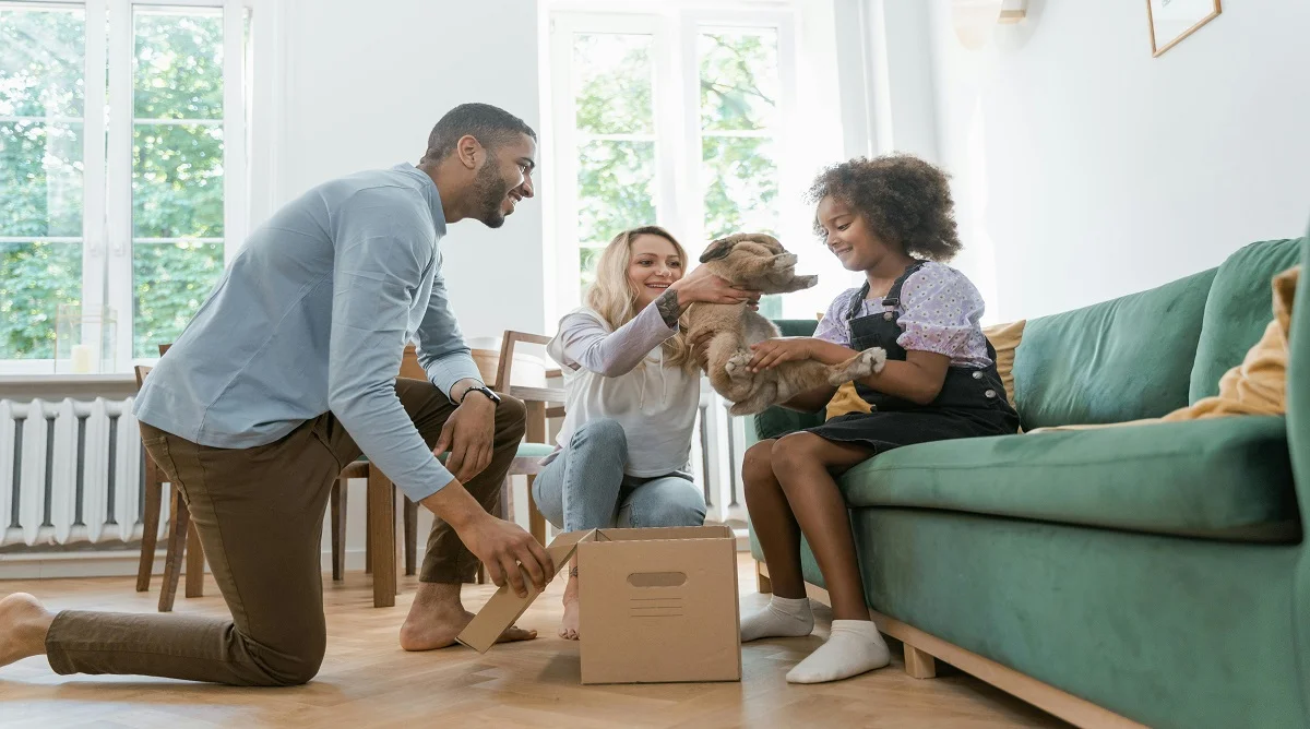 New Pet Guide for Beginners: What to Know Before Bringing a Pet Home