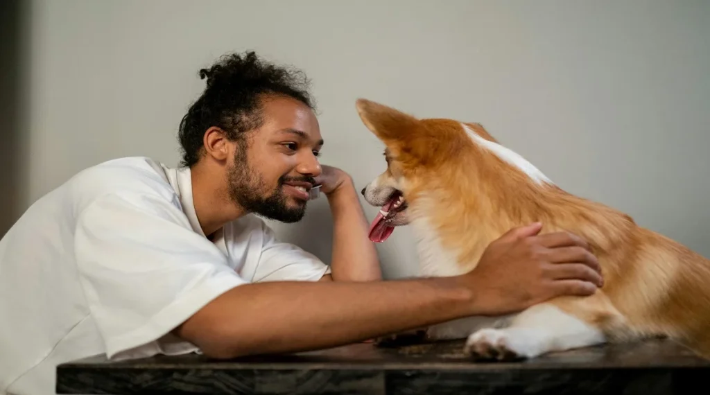 understanding pet behavior improves bonding