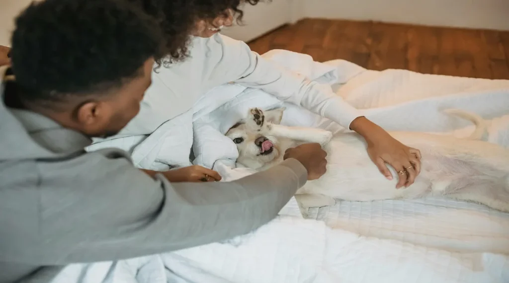 first time pet owner tips essential supplies