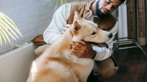 First Time Pet Owner Tips That Make Caring for Pets Easier
