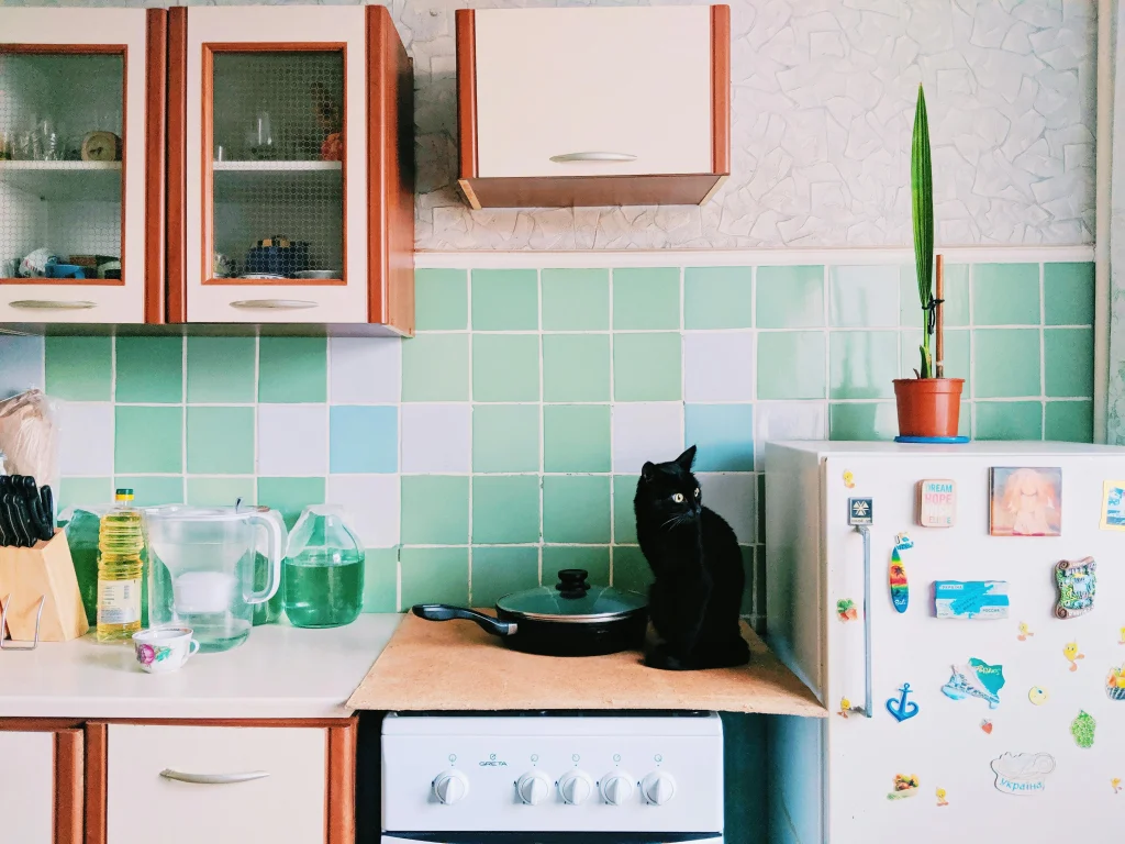 household dangers for pets safe home environment