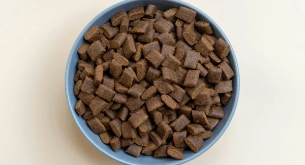 Common Pet Food Myths Owners Should Stop Believing