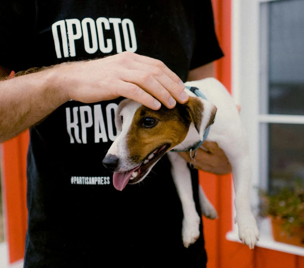 Pet owner and dog bonding over playtime