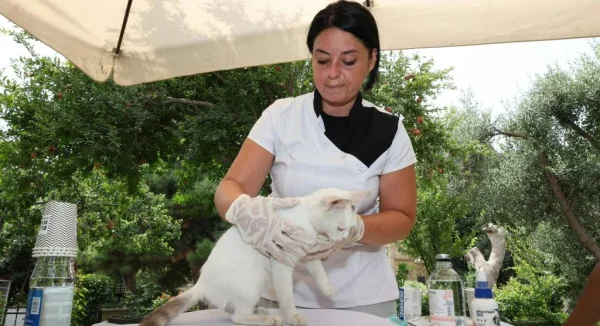 Simple Ways to Boost Your Pet’s Immune System Naturally