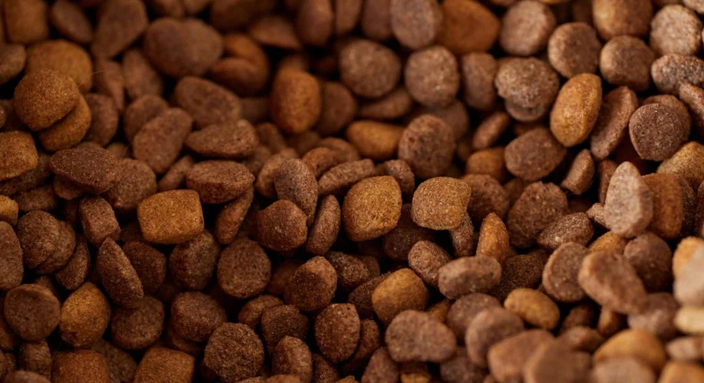 Pet owner checking pet's food and water intake