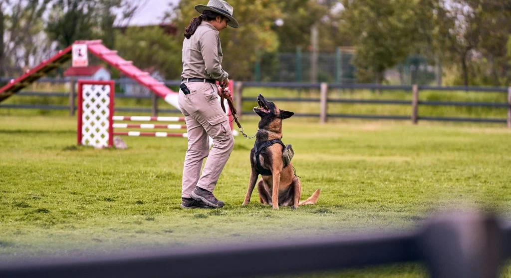 A person training a pet with a clicker and treats