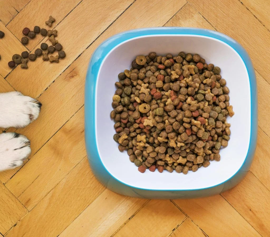 Illustration of pet food and safety symbols