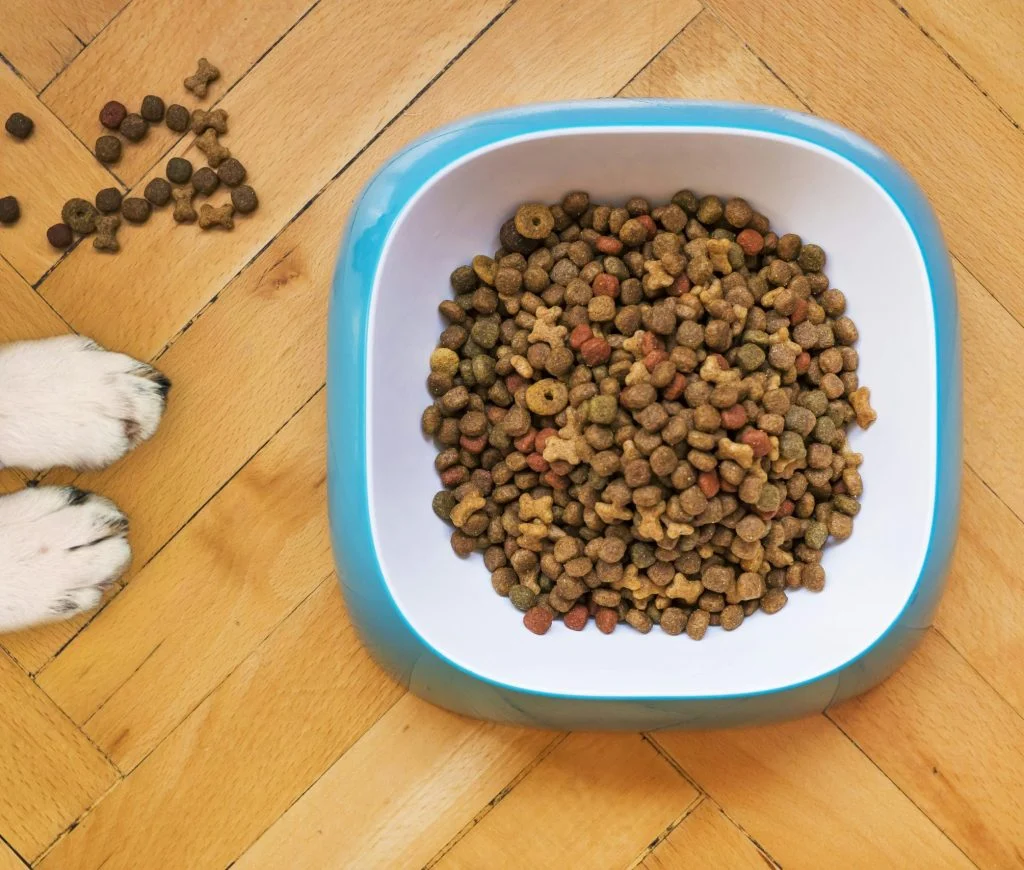 A split image comparing wet and dry pet food with a balanced diet chart