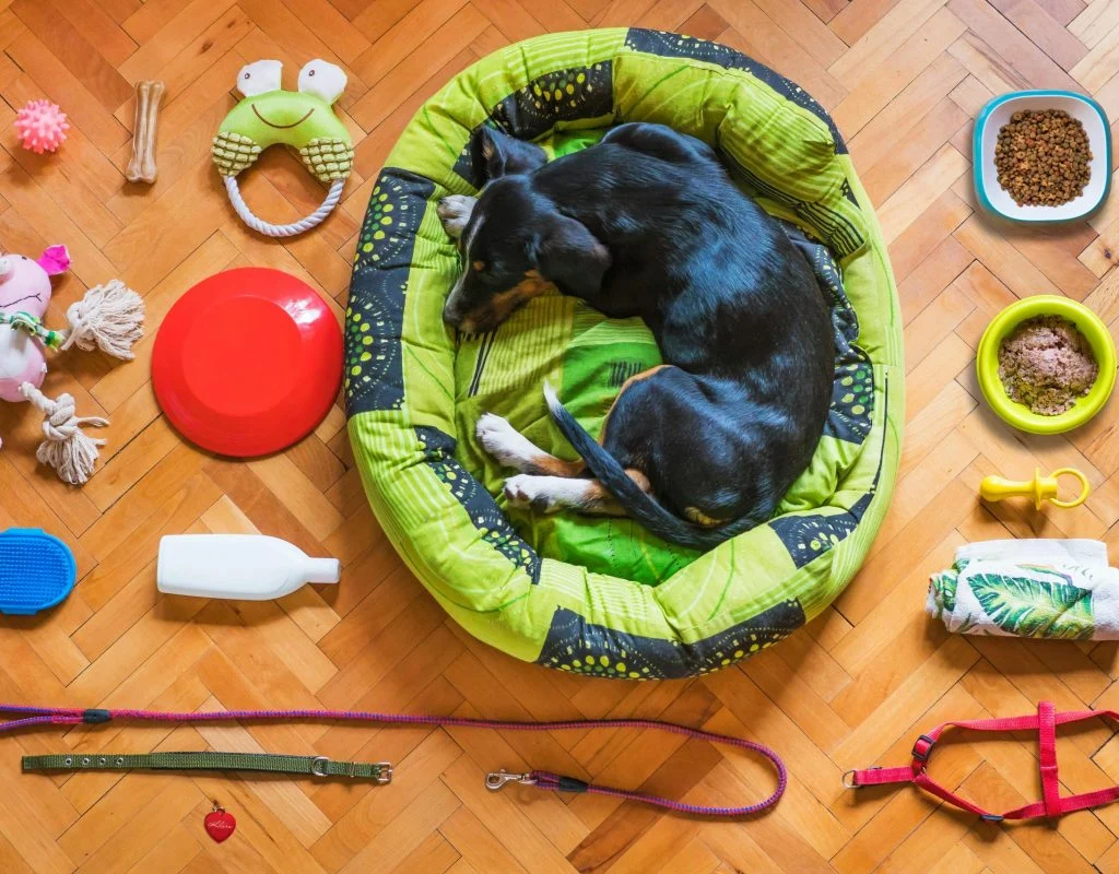 Pet preparation setup with food, toys, and accessories