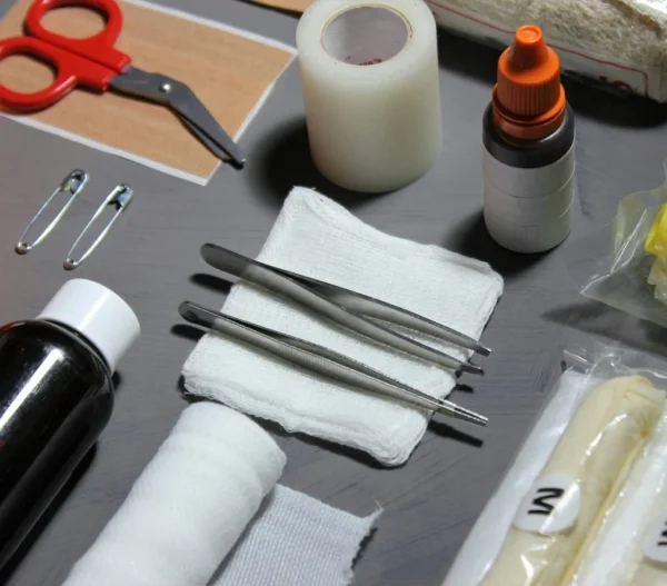 Basic Pet First Aid Tips Every Owner Should Know