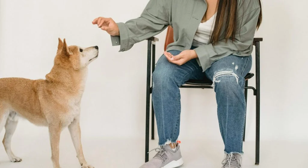 Happy pet owner with well-behaved pet