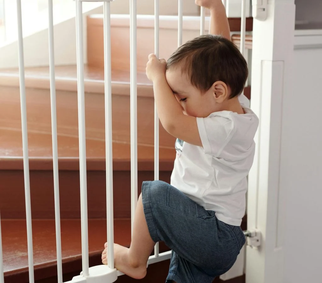 Pet-proof home with safe furniture and secure electrical outlets