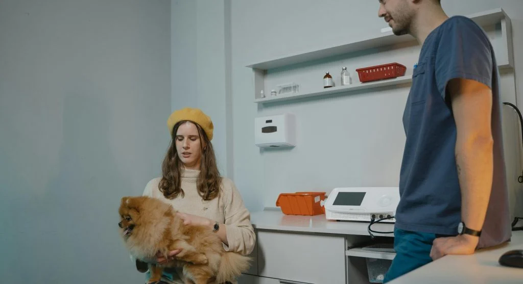 Veterinarian checking pet's vital signs