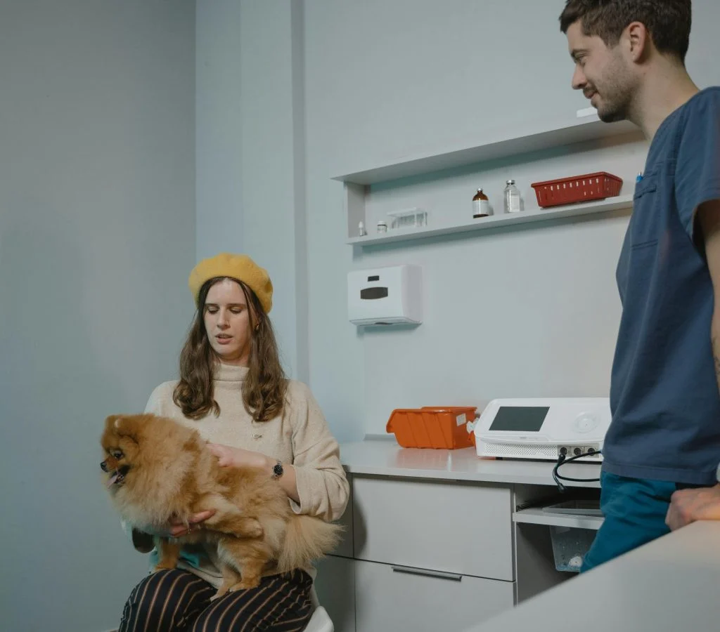 Daily routine schedule for new pet owners with feeding, exercise, and playtime