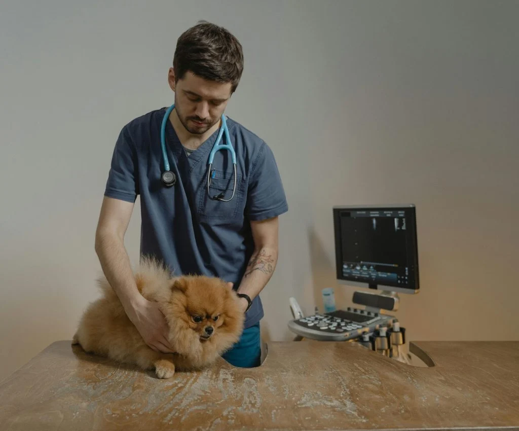 Confused pet owner researching pet health myths