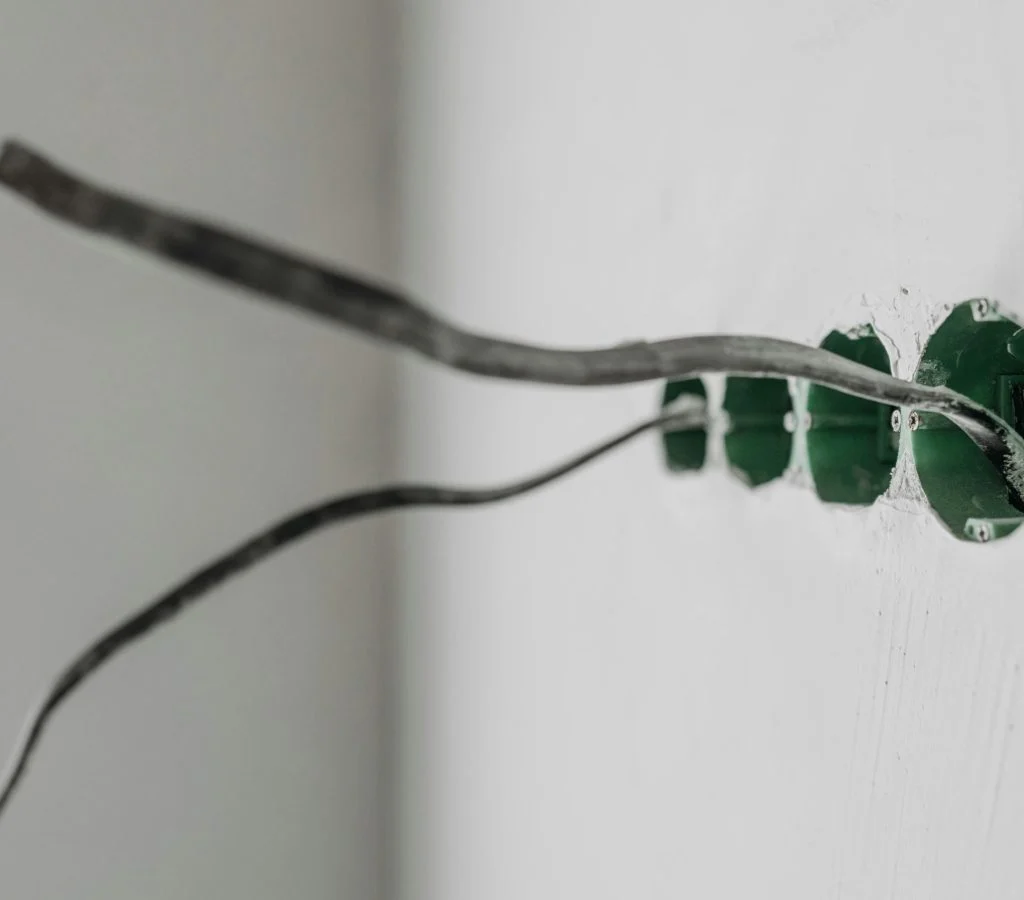 Pet-proofing home electrical outlets and cables