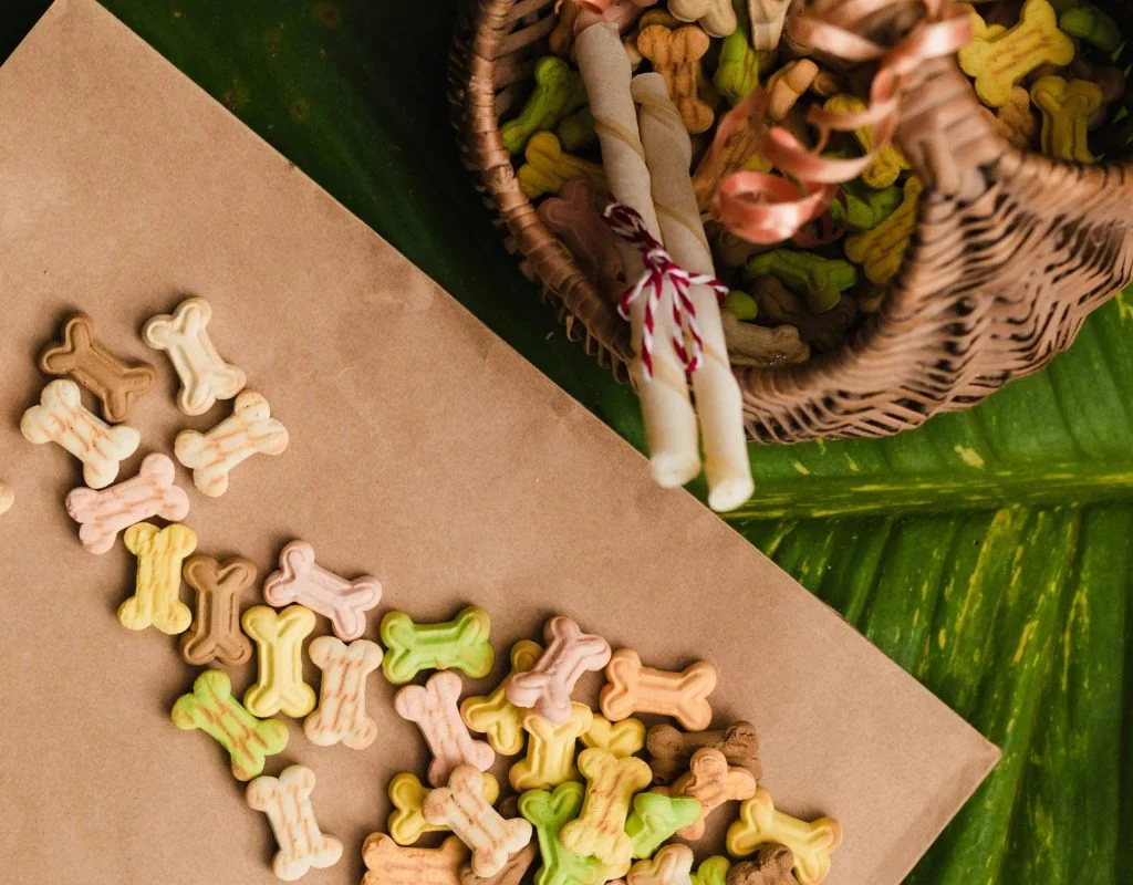 foods pets should never eat sugary comparison
