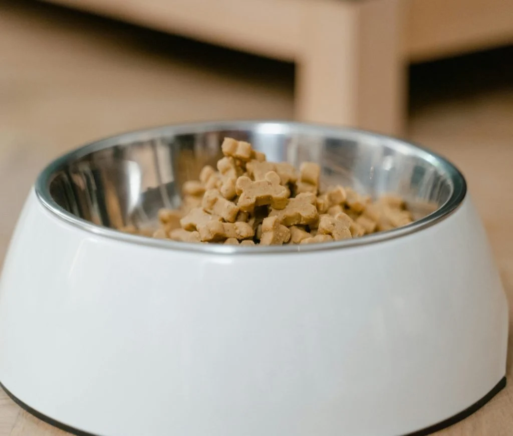 Infographic comparing storage options for wet and dry pet food
