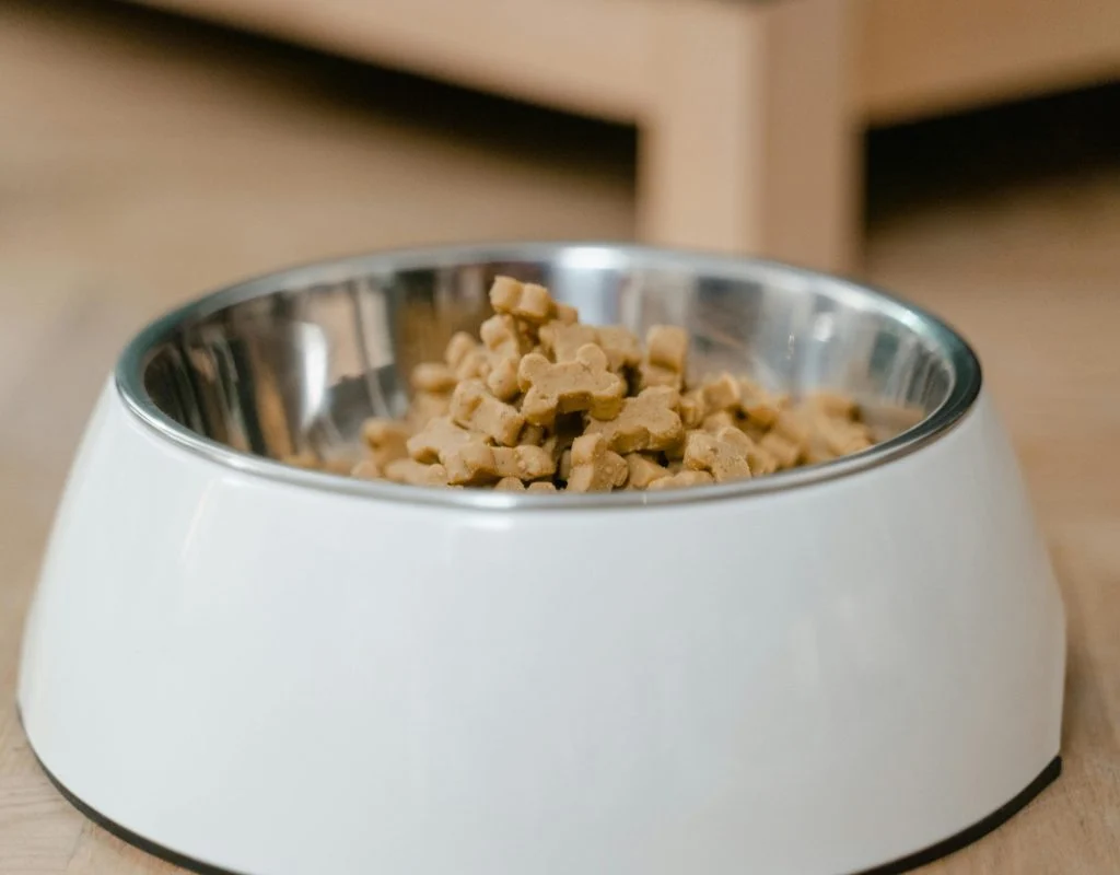 Pet supplies for a new pet, including food, toys, and a bed