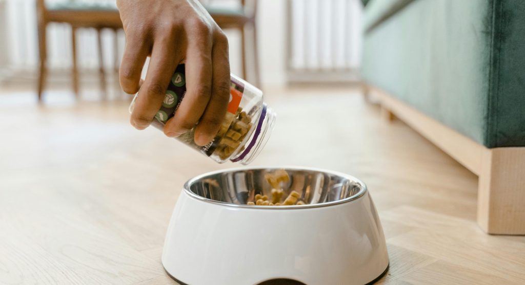 A dog and cat eating from measured food bowls